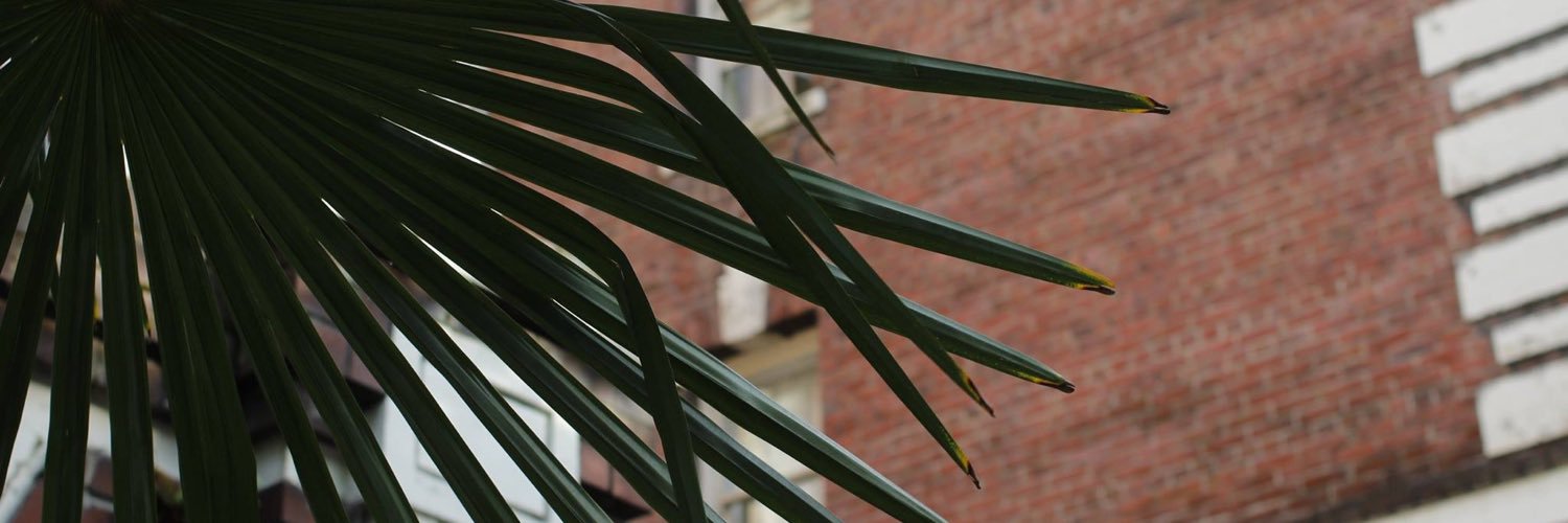 CostalesCj's profile banner image