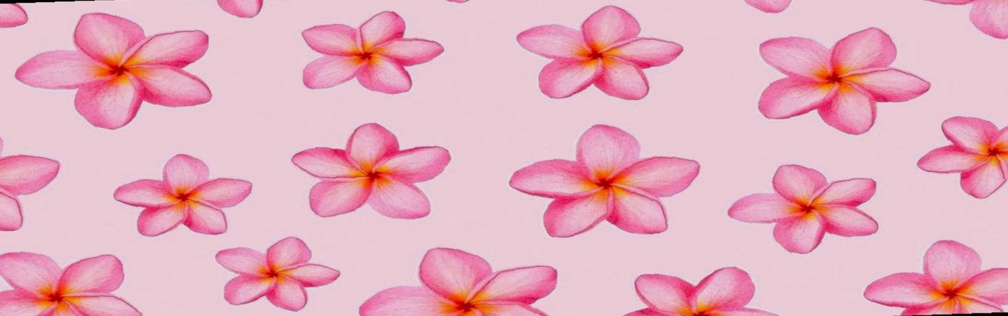 ScarletDevilCCX's profile banner image
