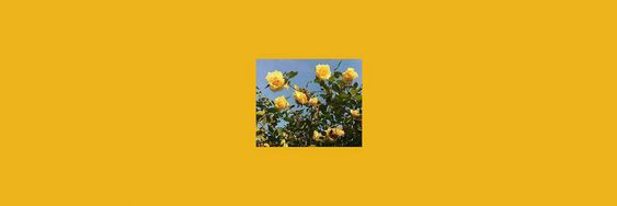 MelissaaByrne's profile banner image