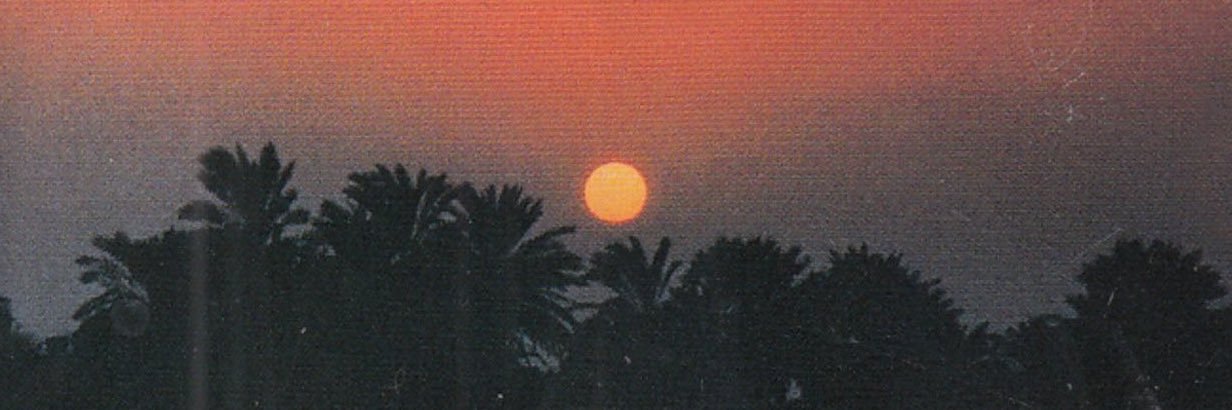 RetroGrayy's profile banner image