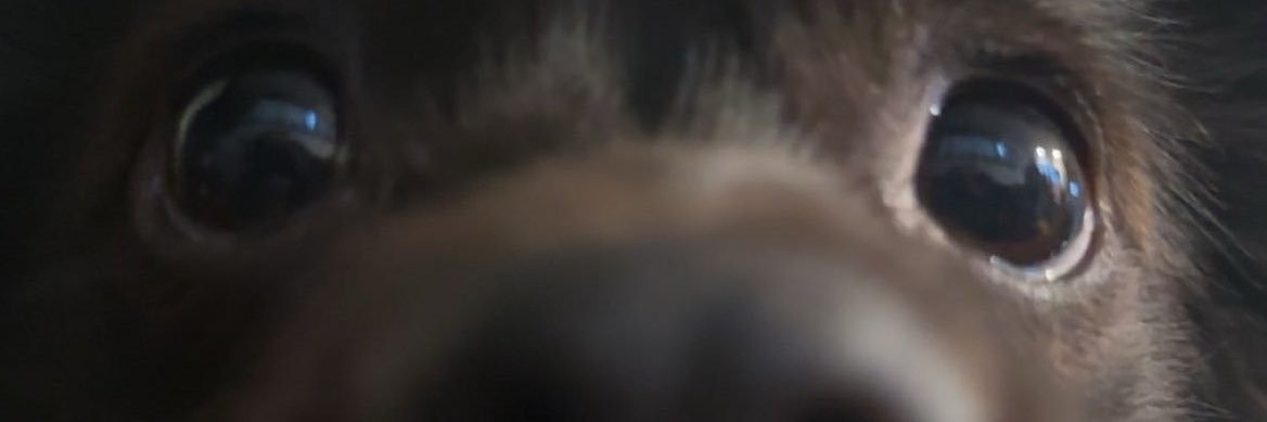 teeshmae's profile banner image