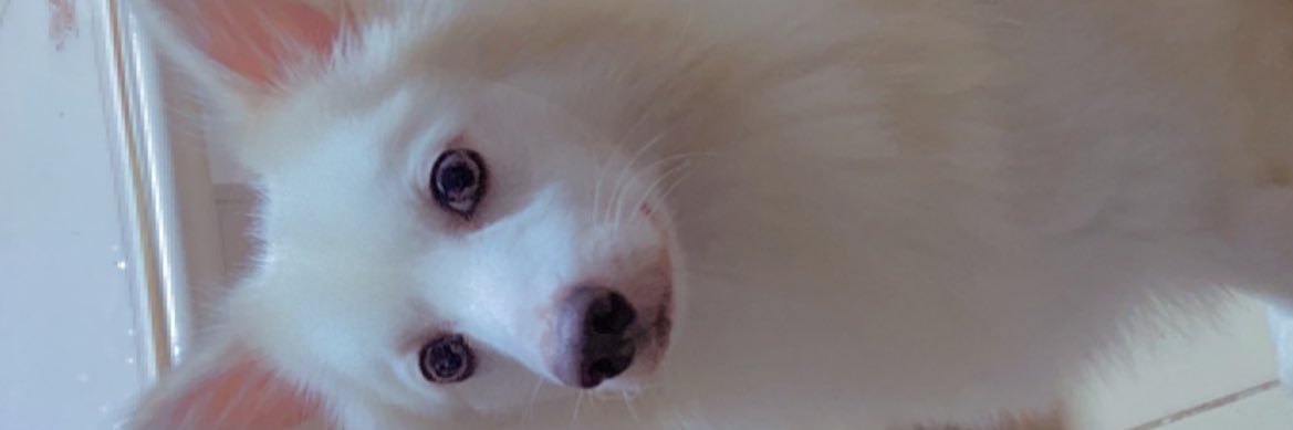 phemry2's profile banner image