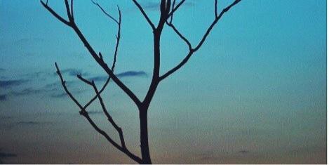 Liyafisqi's profile banner image