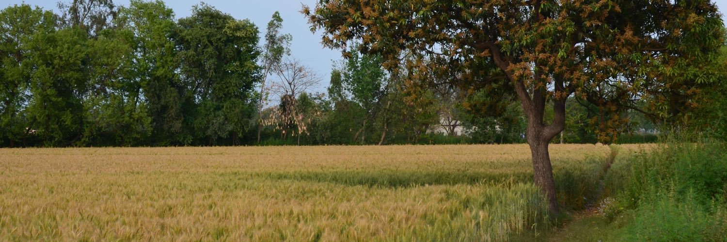 bhullarwazir's profile banner image