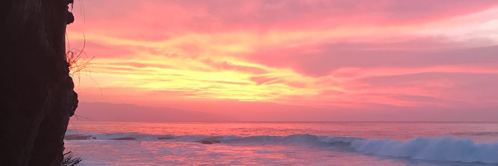 HawaiiHaoles's profile banner image