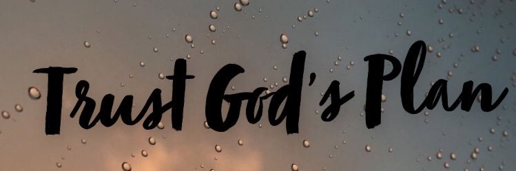 Hausteend's profile banner image