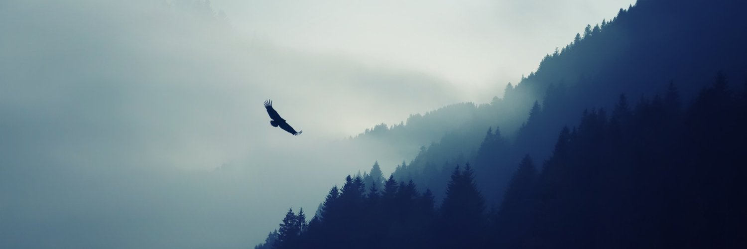 posty_n's profile banner image