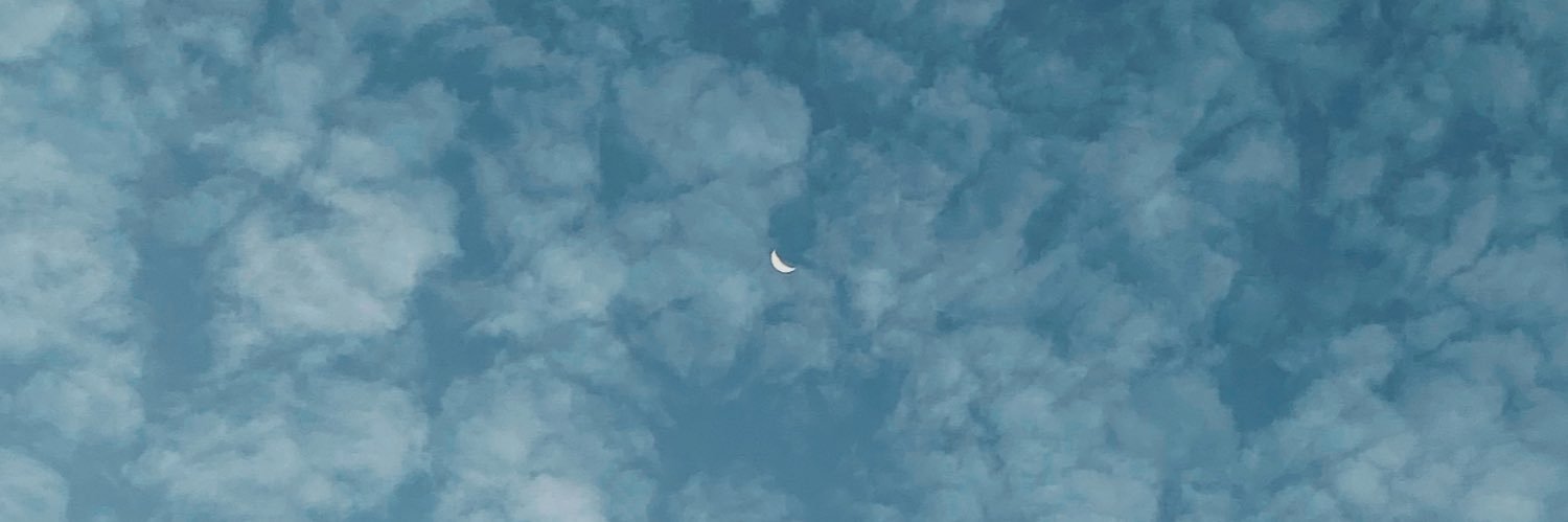 sophsmartins's profile banner image