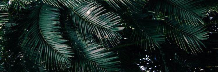 eniijk's profile banner image