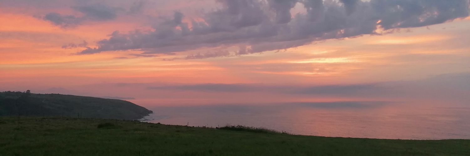 BibiTarnerWill's profile banner image