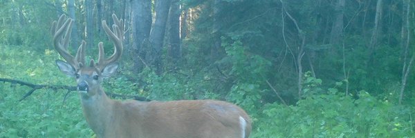 Scinski Profile Banner