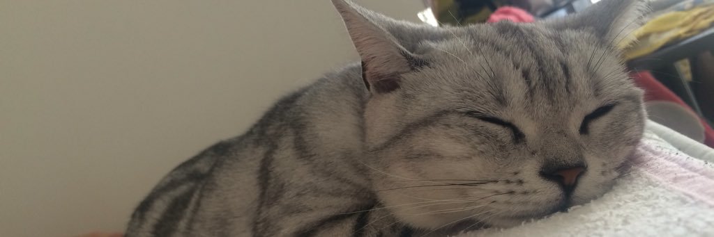 chim1023's profile banner image
