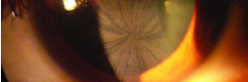 bing619's profile banner image