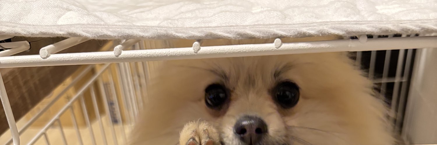 Ms.燃えるごみにゃん😪💭 banner