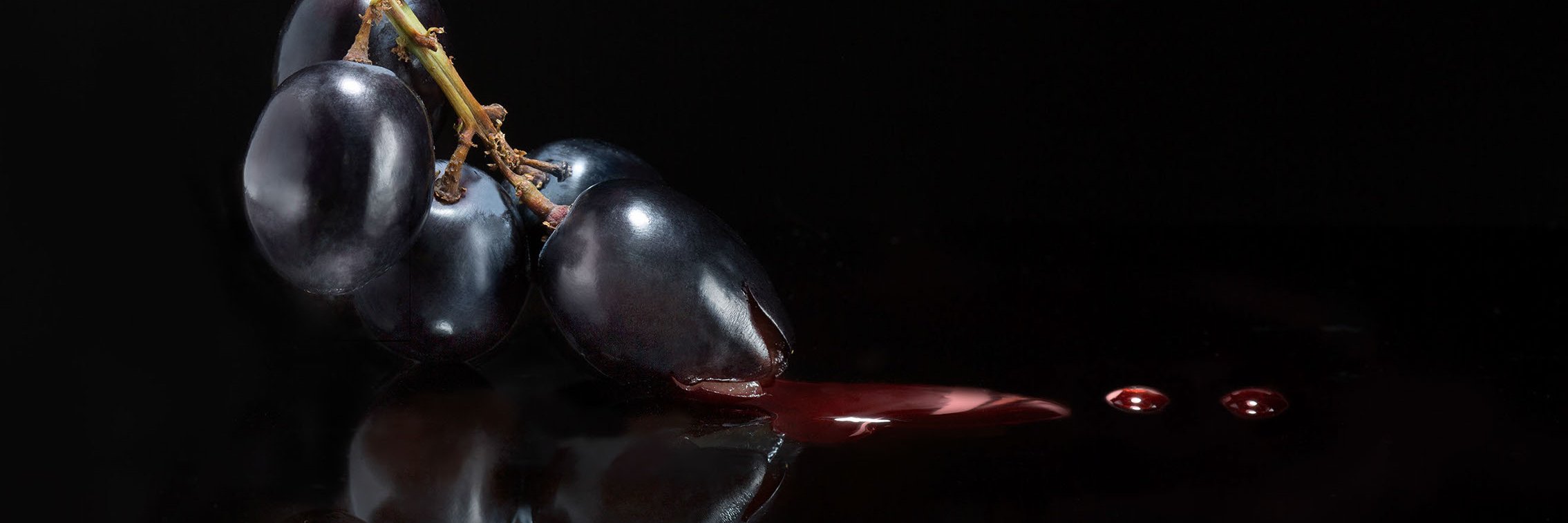 PhotoBard's profile banner image