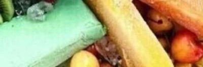 سفستفيشن banner