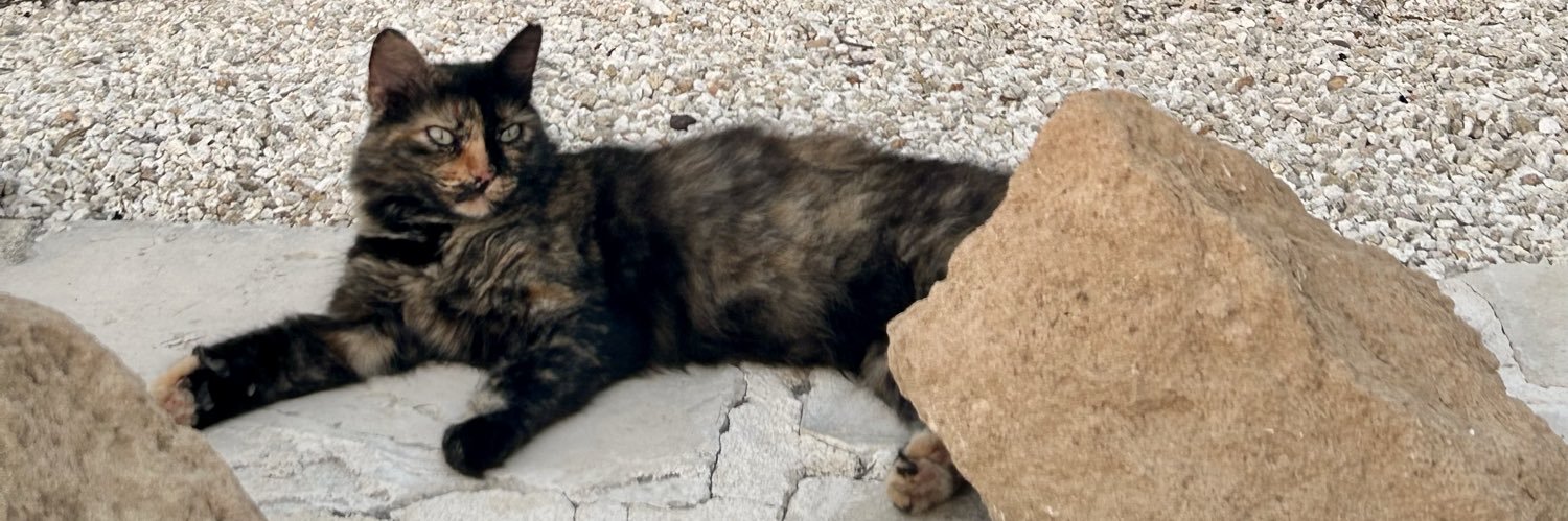 G r a c e🍄 banner