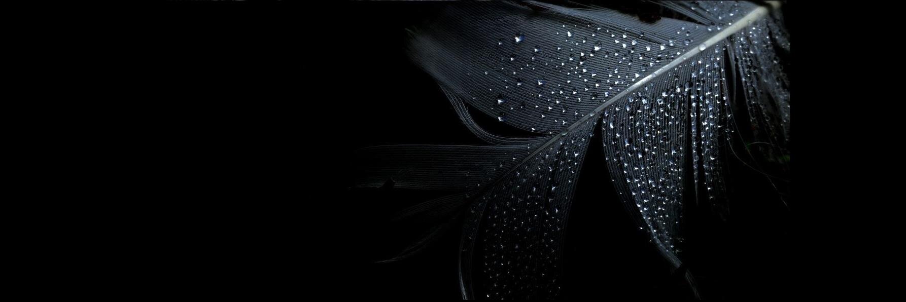Emma Hall banner