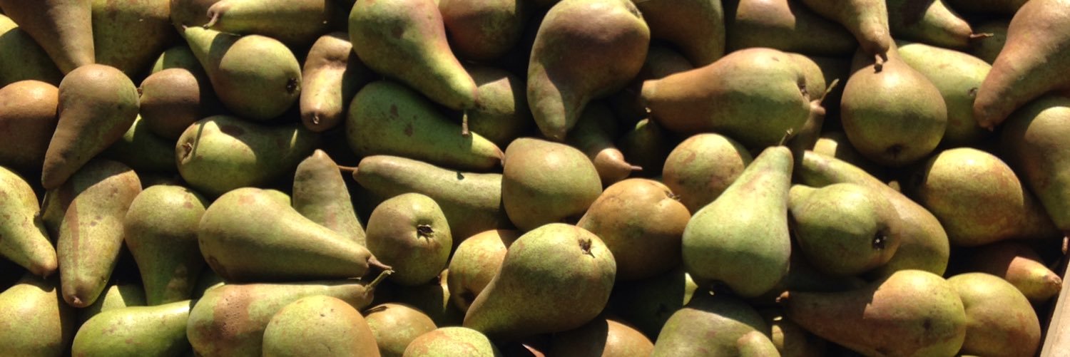 BrambletyeFruitFarm banner