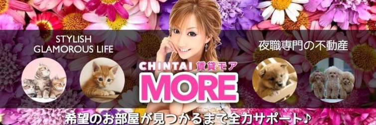 chintaimore's profile banner image