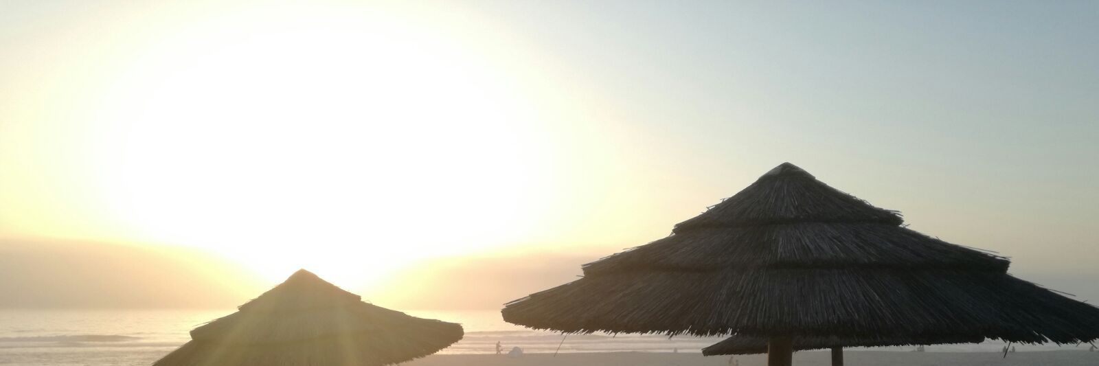 ketsiaSAFARI's profile banner image