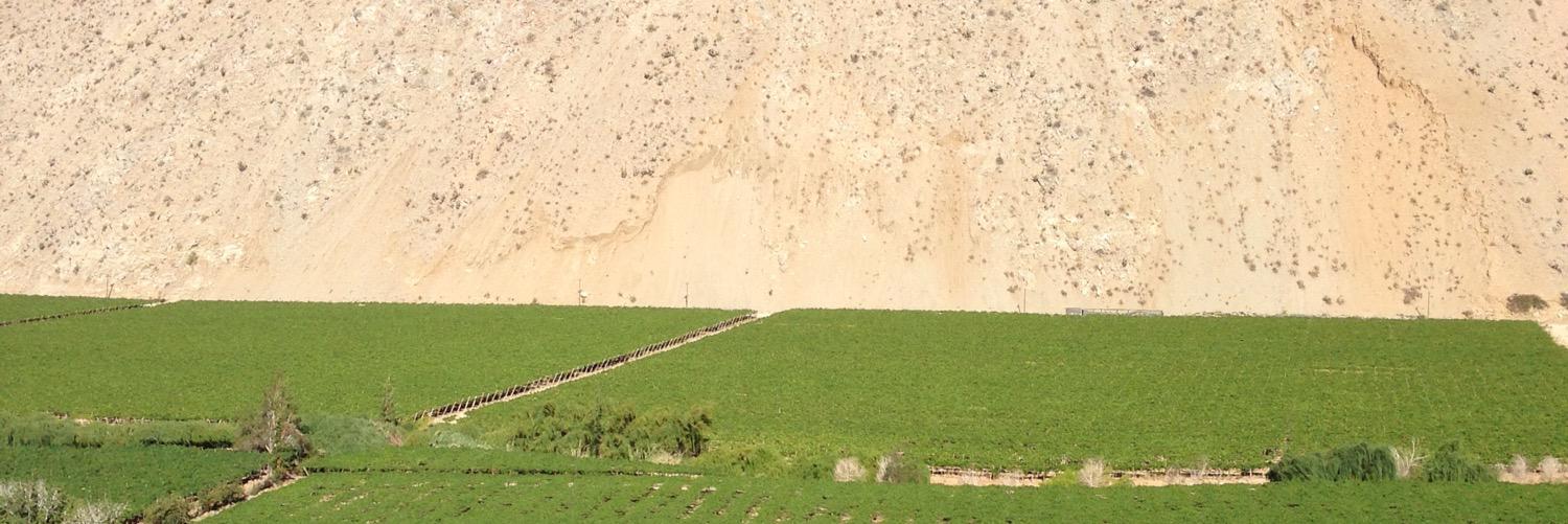 pasidelpedregal's profile banner image