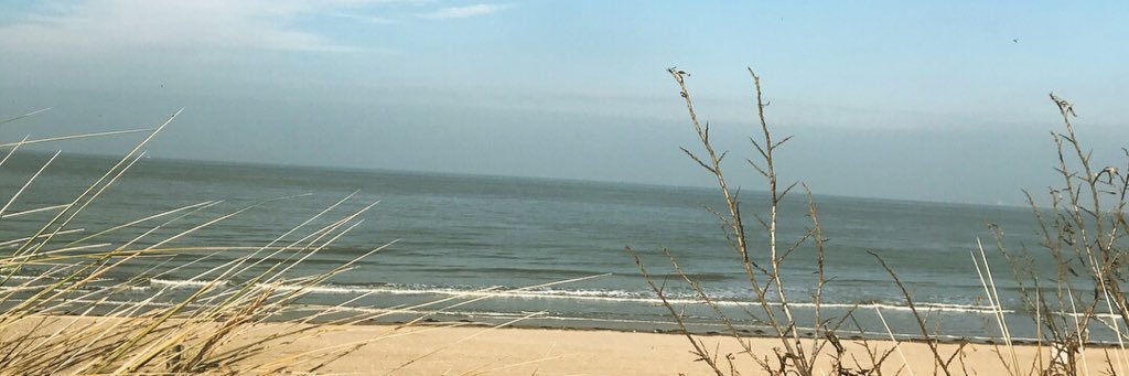 KLaheye's profile banner image