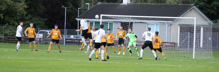 Steven Fraser banner