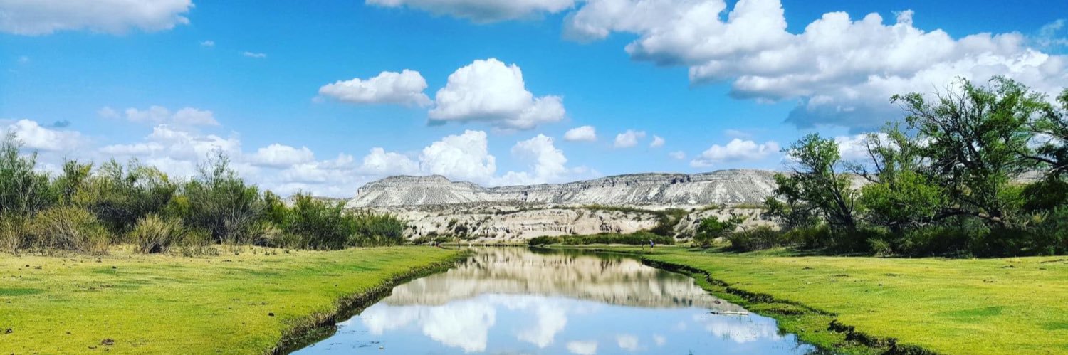 Nicolás Piccoli banner