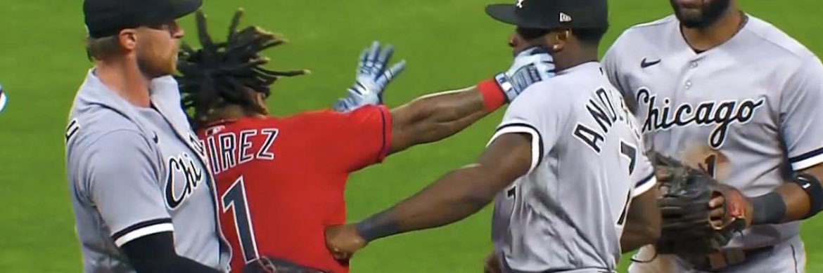 Steph Metzger-Lawrence banner