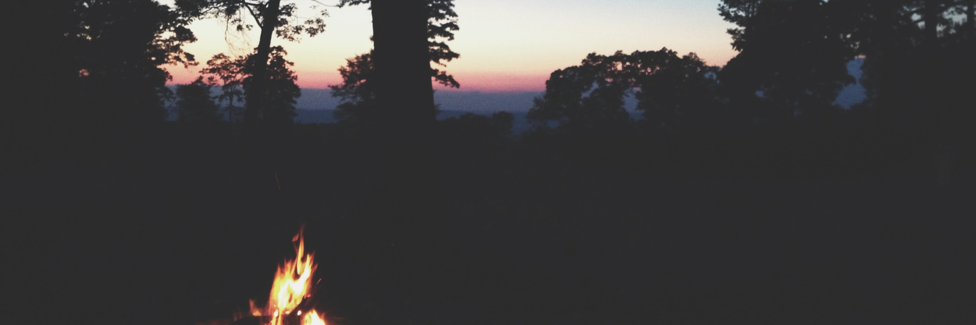 cmcarson's profile banner image