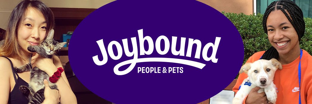 JoyboundAdopt's profile banner image
