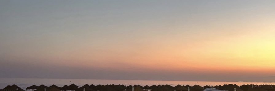 carmenhache_'s profile banner image