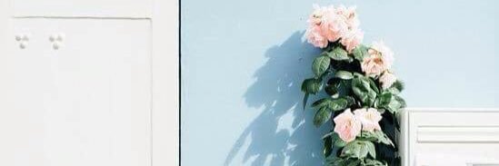 nonicaflorence's profile banner image