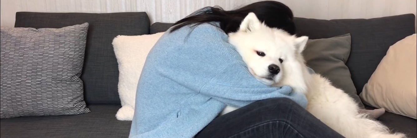 yjhmew's profile banner image