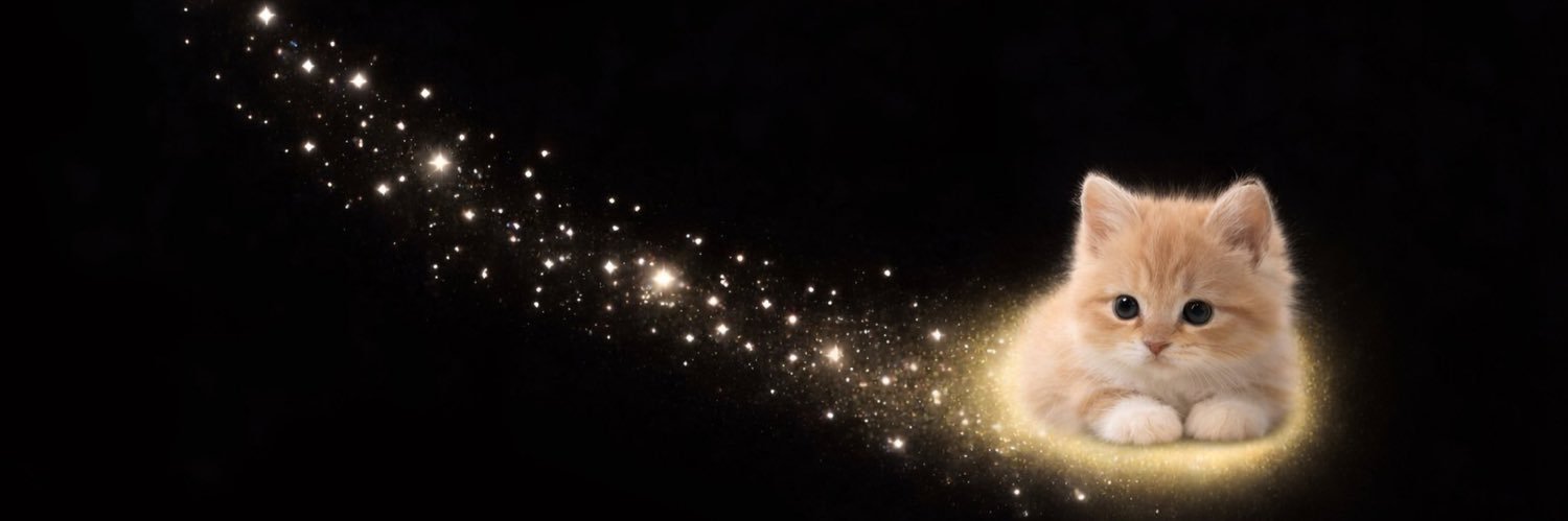 bbusefe's profile banner image