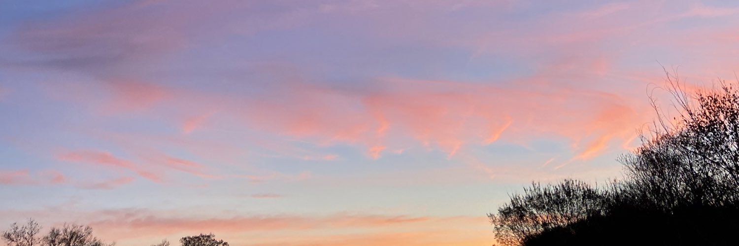 halsmc's profile banner image