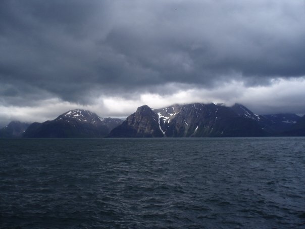 netsuhonen's profile banner image