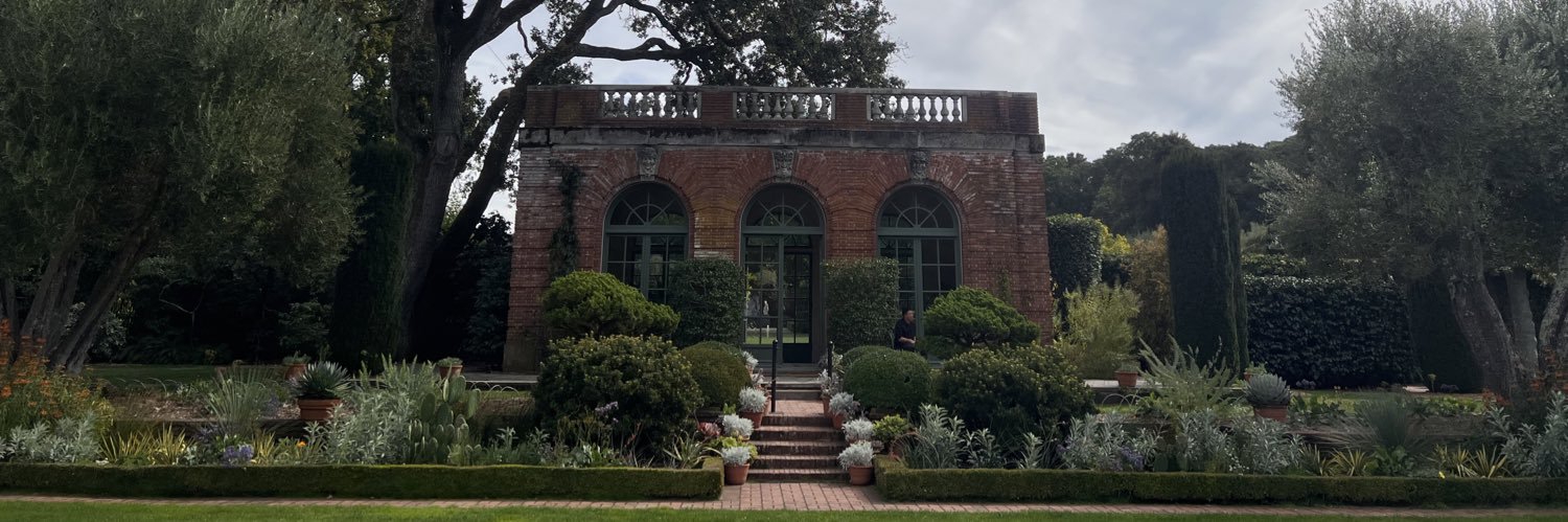 Rudney Novaes banner