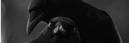 JoHaleyArtist's profile banner image