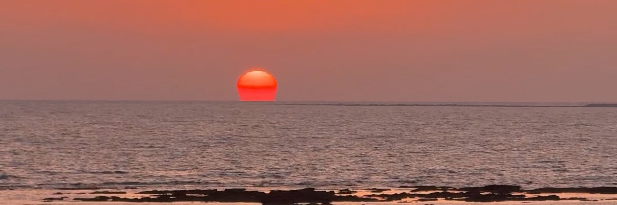 sarabernabe16's profile banner image