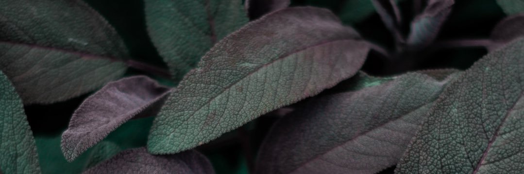 thirstytasty's profile banner image