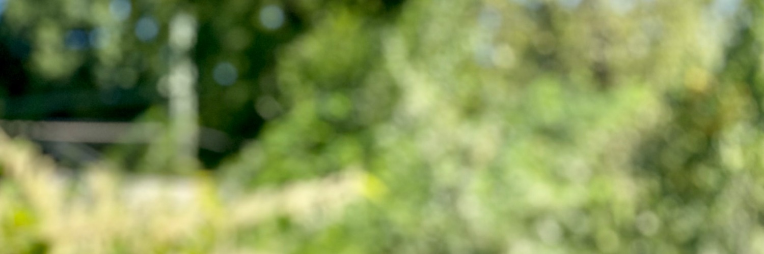 Dr Ilka Weissbrod banner