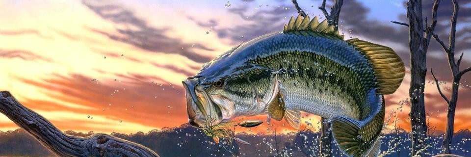 teeker9's profile banner image