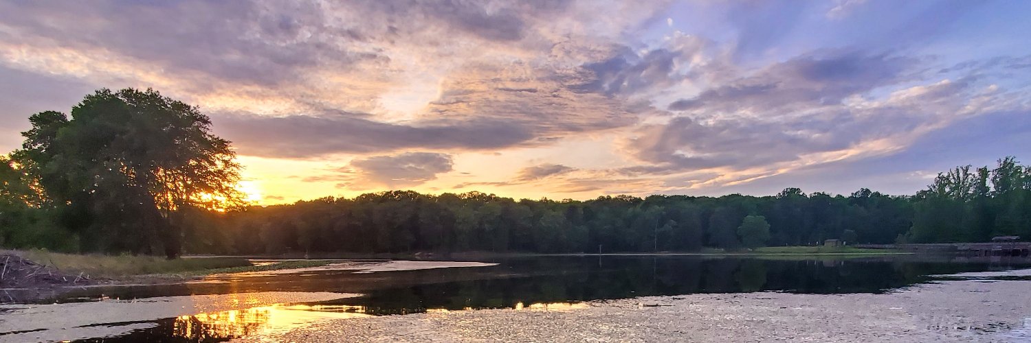 Dewey Murdick banner