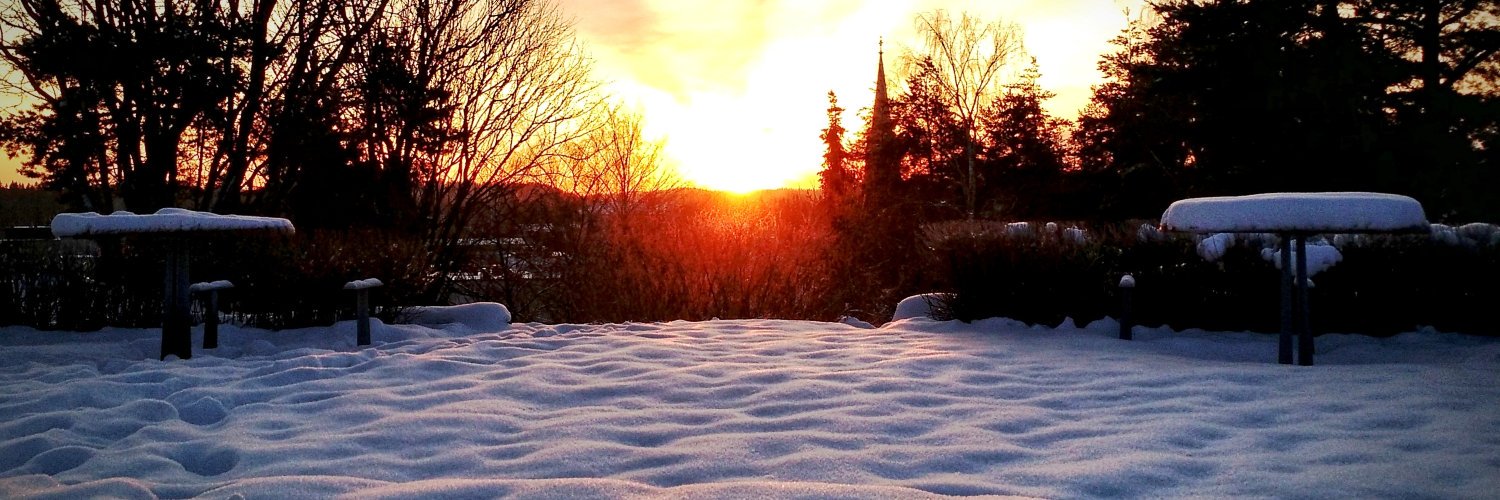 johnwins's profile banner image