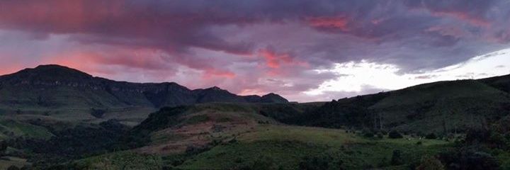 Nolene_Jonker's profile banner image