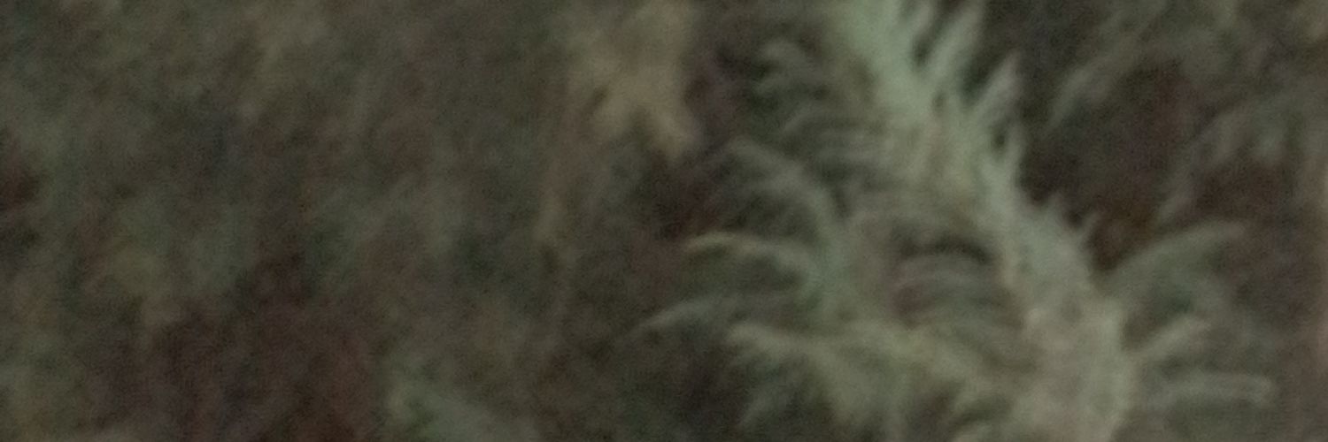 Mihaela G 😎's banner