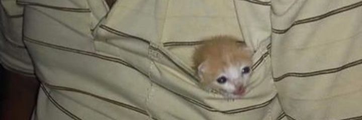 PremeDread's profile banner image