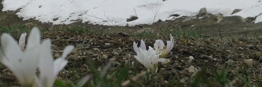 binevsuncu's profile banner image